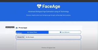 ИИ определяет биологический возраст по лицу image preview